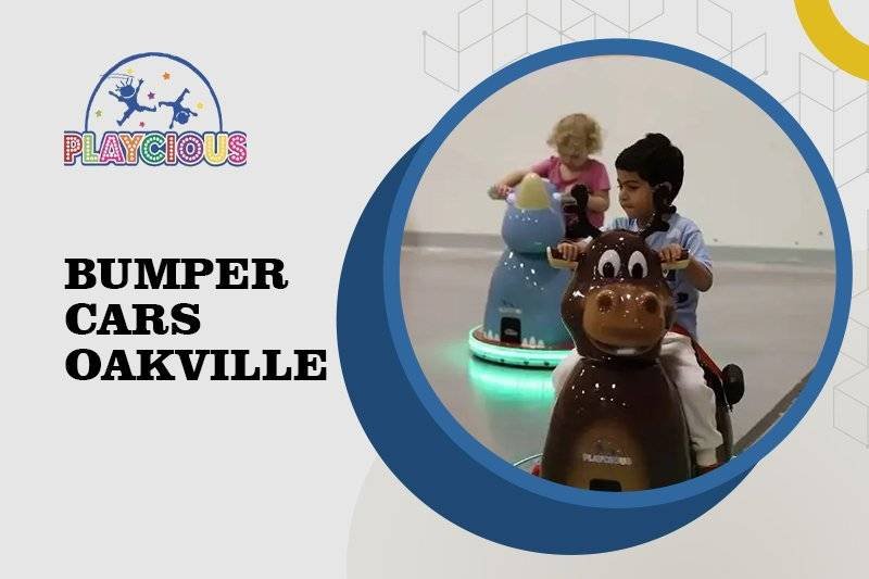 Bumper-Cars-Oakville